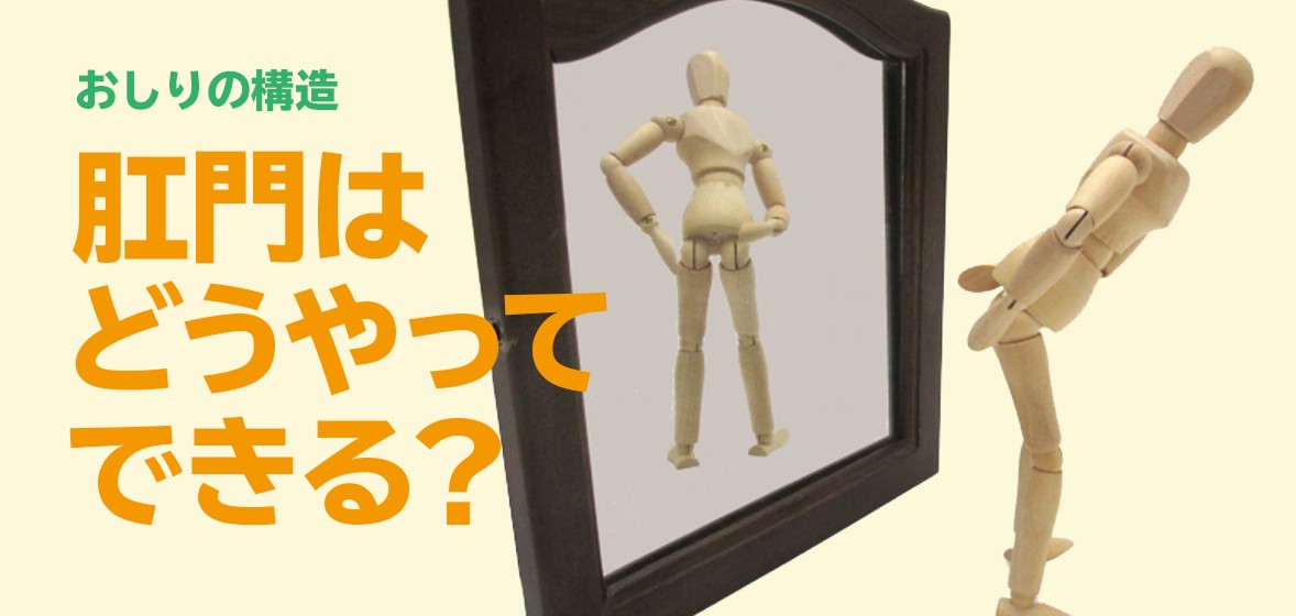 肛門はどうやってできる?